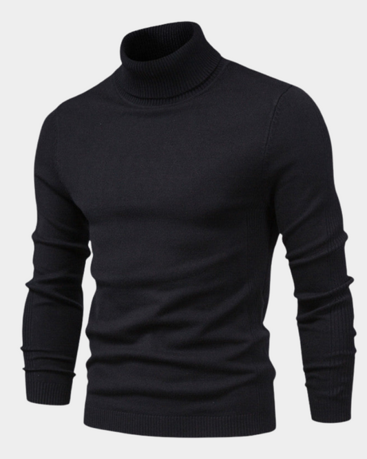 Remo | Perfect Fit Turtleneck Sweater